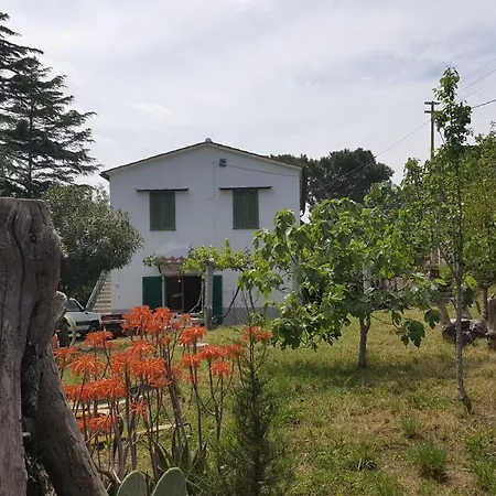 I Gechi - * Marina di Campo