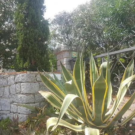 Tatil Evi I Gechi - *