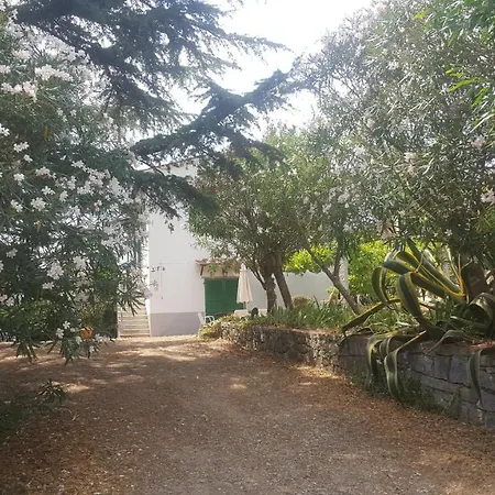 Ferienhaus I Gechi - Marina di Campo