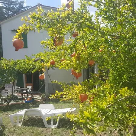 I Gechi - مارينا دي كامبو