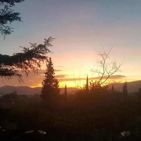 I Gechi - Nyaraló *