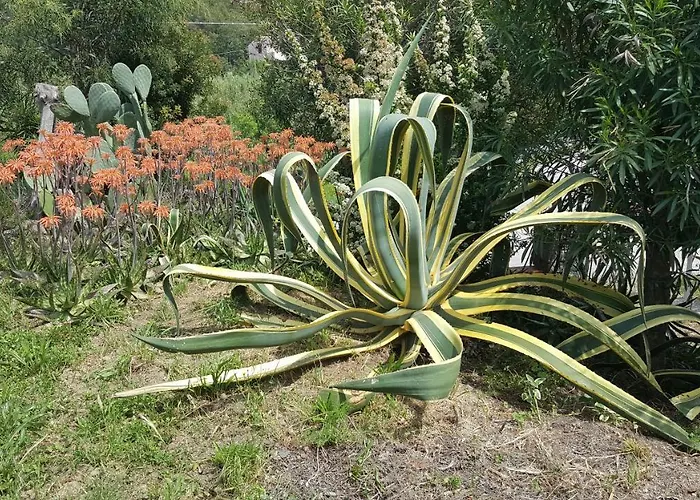 I Gechi - Ferienhaus *