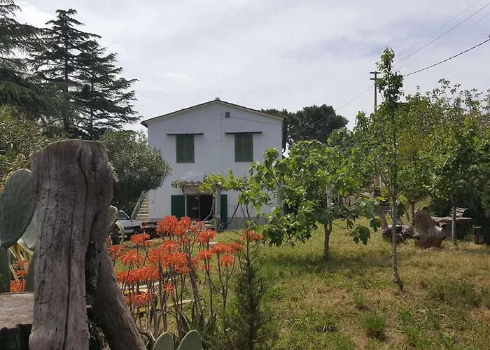 I Gechi - * Marina di Campo