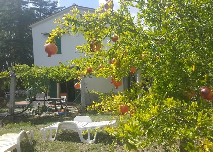 I Gechi - Marina di Campo